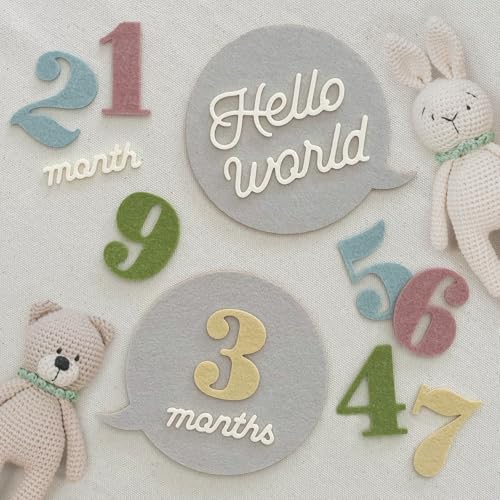Felt Speech Bubble Baby Monthly Milestone Signs, First Year Baby Photo Prop | Birth Announcement, Growth Tracking, Gender Neutral Baby Shower Newborn Gift, Baby Keepsake (Pastel) - color: Pastel