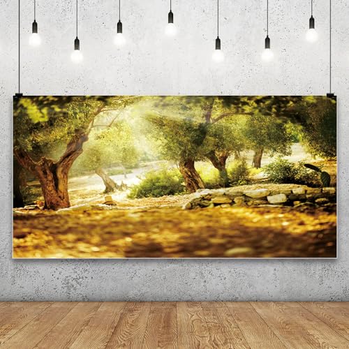 Leyiyi 20x10ft Natural Scenery Backdrop Olive Trees Sunshine Wonderland Dreamy Haze Blurred Background Stone Natural Forest Landscape Video Photo Studio Prop - size: 20x10ft-Vinyl