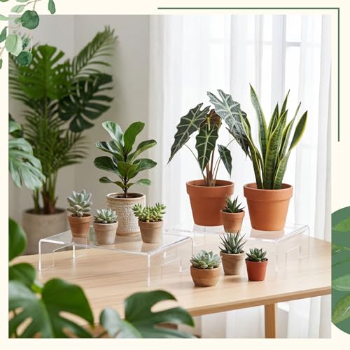 RattanView 2 Pcs 12 x 8 x 3 Inch Large Acrylic Risers Display Stands 5 mm Thick Acrylic Shelf Riser Showcase for Collectibles Jewelry Cupcakes Food Figures Perfume Cabinet (Clear) - color: Clear, size: 12 x 8 x 3 Inch, 5 mm