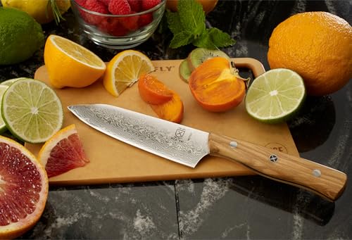 Proposed Value: Mercer Culinary Premium Grade Super Steel, 5-Inch Bar Knife, Spalted Maple Handle/Saya Cover - style: Bar Knife Spalted Maple Handle and Saya Cover 5 Inch