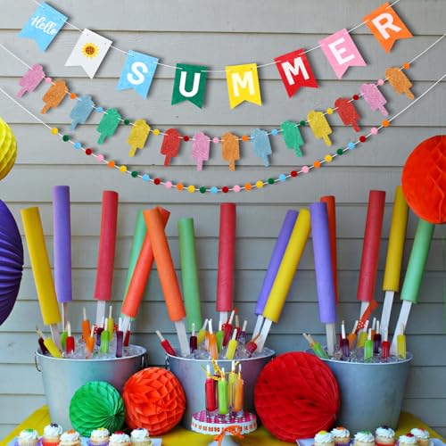 Chumia "hello Summer" ice pop Sucker Banner with Pom-pom Bunting Sucker for Party Wall Decor Hello Summer Banner for Holiday Birthday Carnival Photo Props Farmhouse Indoor Mantels Displays