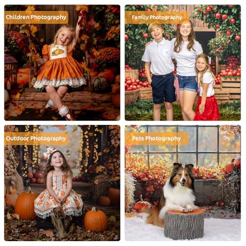 Kate Fall Pumpkins Wreath White Wood Box Backdrop Photo Background Studio Props,7x5ft