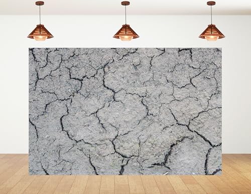 5x4ft Dry Cracked Earth Backdrop Grey Cracked Mud Photography Background for Party Neutral Tone Shoot Wall Decorations Tapestry Photo Booth Props - size: 5x4ft