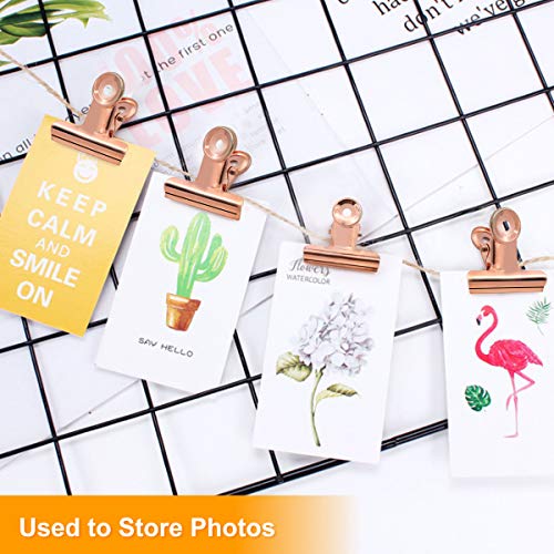 Coideal Bulldog Paper Clips Rose Gold, 20 Pcs 2 Inch Large Metal Binder Hinge Clip for Office, Food Bags, Pictures Photos, Art Crafts (50 mm) - color: Rose Gold