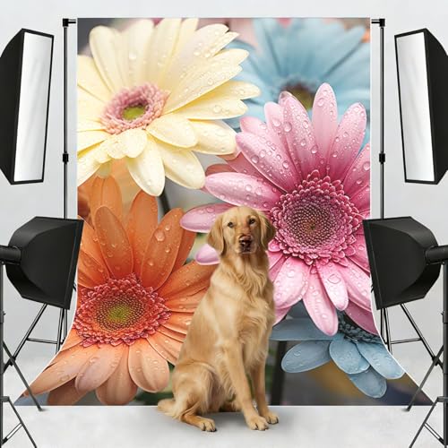 Colorful Daisy Flower Backdrop Background for Photography 5x7ft Photobooth Professional Photo Backdrop Curtains Video Photography Studio Photo Backgrounds Banner Booth Background Screen Parties - color: Colorful Daisy Flower
