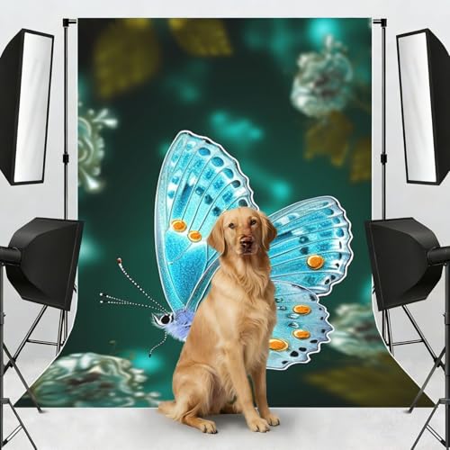 Light Blue Butterfly Backdrop Background for Photography 5x7ft Photobooth Professional Photo Backdrop Curtains Video Photography Studio Photo Backgrounds Banner Booth Background Screen Parties - color: Light Blue Butterfly