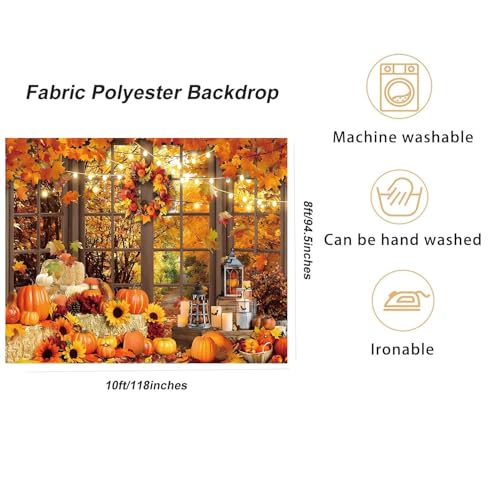 Fall Backdrop Fabric 10x8ft Autumn Scenery Through French Window Photo Background for Photography Fall Festival Thanksgiving Day Backdrop Portrait Shoot Studio Photo Booth Props - color: Fall Window 01