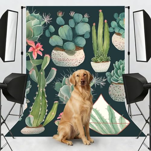 Succulent Plants and Cactus Backdrop Background for Photography 5x7ft Photobooth Professional Photo Backdrop Curtains Video Photography Studio Photo Backgrounds Banner Booth Background Screen Parties - color: Succulent Plants And Cactus