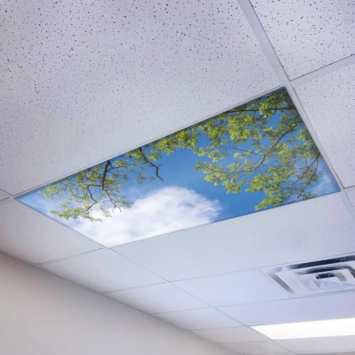 Magnetic Fluorescent Light Cover for Ceiling Lights Classroom 2x4 - High Resolution Magnetic Office Light Filter (Pack of 1) - Improve Focus, Eliminate Headaches & Eyestrain - Tree - color: Blue Sky Acacia Tree