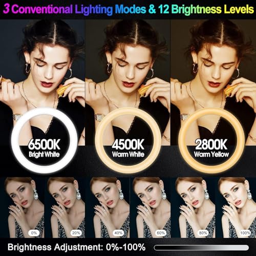 12.3" Ring Light with Stand & Phone Holder Tall 75", 51 Color Modes Circle Lights Selfie Ringlight with Tablet Holder, 12 Dimming Levels Christmas LED Halo Light Tripod for iPhone Video Recording/Vlog - size: 12.3 Inch