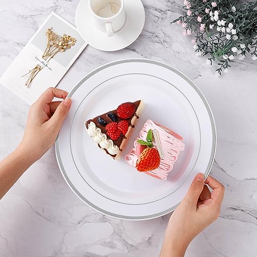 BESTVIP 100PCS Silver Plastic Plates, 10.25 Inch Disposable Dinner Plate Party with Silver Rim for Christmas, Thanksgiving, Heavy Duty Disposable Plastic Plates for Party, Wedding and Birthday, Events - color: Silver, size: 100PC