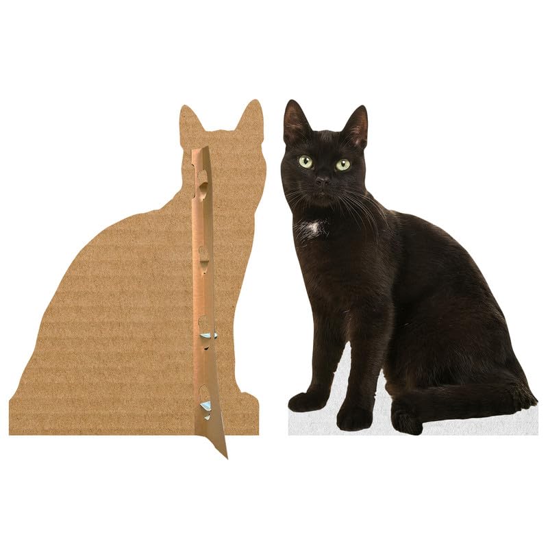 CAT - Black - Life Size Cardboard Cutout Standup People with Support Standee | Animals - - color: Cat - Black