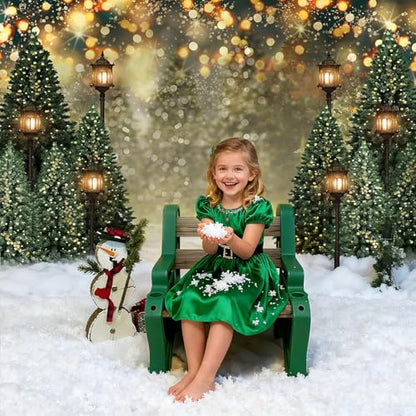 Mocsicka Winter Forest Landscape Backdrop Snowy Christmas Pine Tree Halo Spots Photography Background Winter Wonderland Forest Family Party Wall Decoration Photo Studio Props (8x10ft) - size: 8x10ft