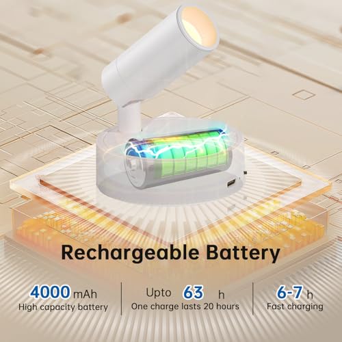 TaoFiaCo Spotlight Indoor, Wireless Battery Operated with Remote,Uplight Indoor Down Light for Picture on Wall, Plant Spotlight Dimmable Timer, Mini Ceiling Lights Painting for Trees Plant - color: White, size: 1 Pack