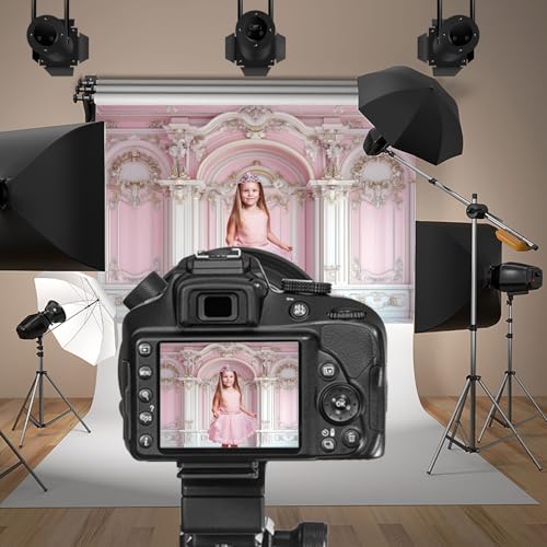 Pink European Palace Wall Backdrops 5x3ft Classic Room Interior Wall Gypsum Pattern Background Princess Girls Birthday Decors Wedding Baby Shower Banner Photo Booth Studio Props Photoshoot - color: pink and white, size: 5x3ft