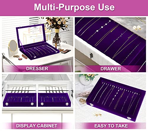 Jenseits Necklace Holder Jewelry Organizer Box, Dustproof Velvet Necklace Tray Jewelry Display With Clear Lid, Preppy Jewelry Holder, Long Necklaces Pendants Organizer, Gifts For Women Girls - Purple - color: 1-Purple