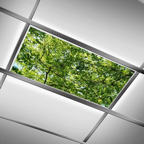 Fluorescent Light Covers for Classroom Office - 2ft x 4ft LED Light Filters, Eliminate Harsh Glare & Eyestrain, Decorative Classroom Light Covers, Light Diffuser Panel.Thick Green Woods - color: Thick Green Woods