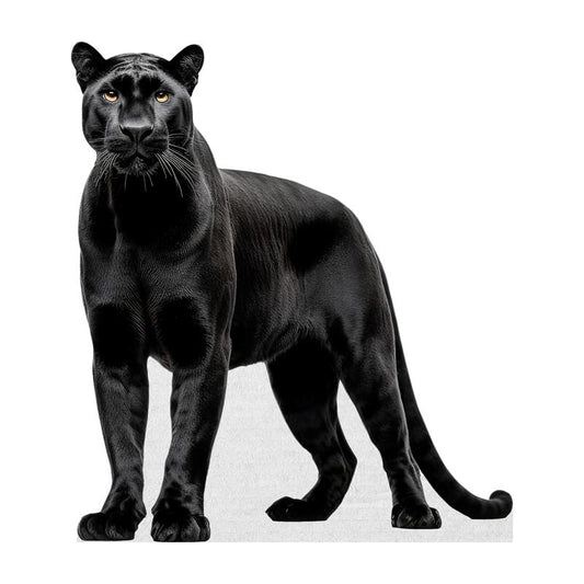 Black Panther - Life Size Cardboard Cutout Standup People with Support Standee | Animals - - color: Black_panther