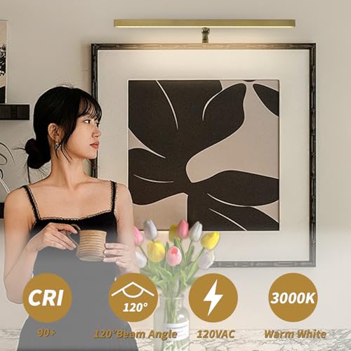 Brass Picture Lights for Paintings Plug in, 16" 4W Adjustable LED Gold Picture Light Art Light, Remote Control Gallery Painting Wall Light for Picture Display Dartboard Art Work (Gold) - color: Brass, size: 15.7inch,1 pack