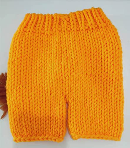 JIAHG Newborn Baby Photography Props Crochet Knitted Outfit Cute Dinosaur Hat & Pants Boys Girls Photoshoot Halloween Costume - color: Yellow Lion