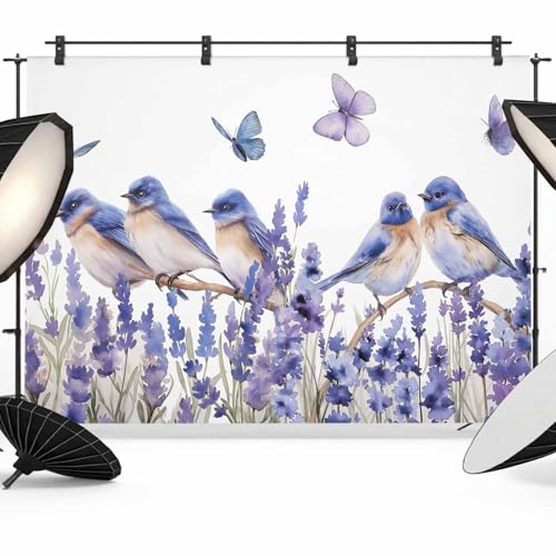 Flowers Summer Backdrop for Photography, Watercolor Purple Bird Lavender Butterfly Photo Backdrop Portrait Background Party Banner Photo Backgrounds for Studio Booth Props, 10x8ft - color: Mist Blue White, size: 10x8FT