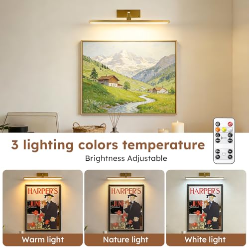Picture Light for Wall Painting Lighting,Remote Control Art Display Light,3 Lighting Colors Brightness Dimmable Timer Auto-Off,High Lighting Your Gallery Poster Portrait Frame Dartboard - color: Gold