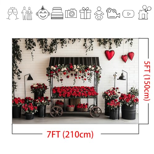 Mocsicka Valentines Day Backdrop Red Black Valentines Day Photography Backdrop Decorations Romantic Red Rose Heart Love Background Photo Prop Supplies (7x5ft) - size: 7x5ft