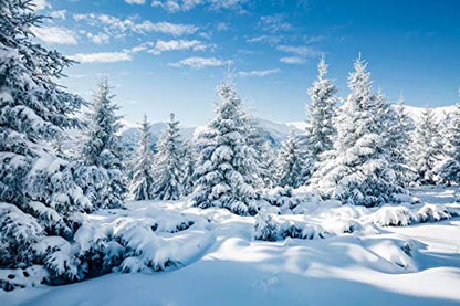 BELECO 10x6.5 ft Fabric Winter Landscape Backdrop Snowfall White Spruces Wintry Scene Alps Photography Backdrop for Christmas New Year Event Party Decorations Celebration Background Photo Studio - size: 10x6.5FT
