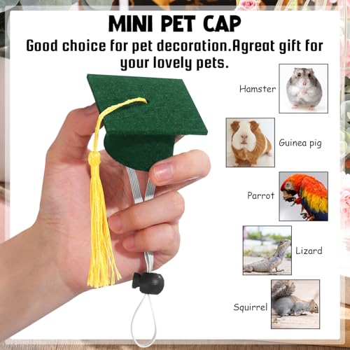 Eccliy 2 Pcs Pet Graduation Caps Mini Bachelor Hats with Tassel for Small Animal Guinea Pigs Hedgehog Bird Turtles Hamster Photo Props Graduation Festival Holiday Party Accessory(Green Gold) - color: Green Gold