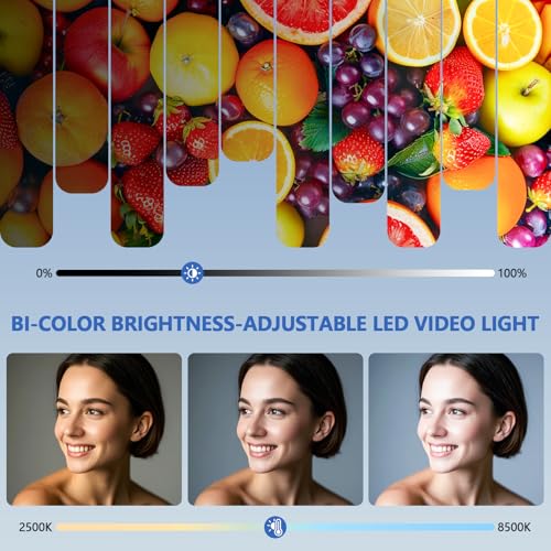 Led Video Light Panel, 20W Bi-Color Photography Lighting Kit with 4000mAh Battery, Dimmable 2500-8500K Conference Studio Light for YouTube/TikTok, AC Power Charger
