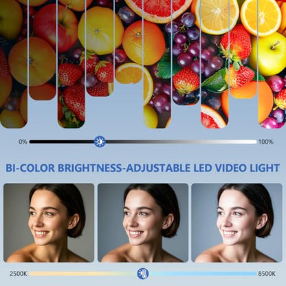 Led Video Light Panel, 20W Bi-Color Photography Lighting Kit with 4000mAh Battery, Dimmable 2500-8500K Conference Studio Light for YouTube/TikTok, AC Power Charger