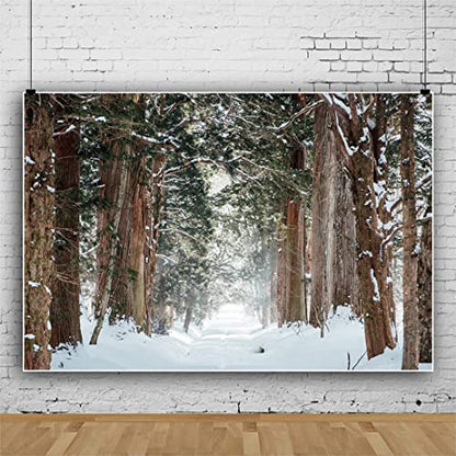 Forest Backdrop,Yeele 10x8ft Winter Theme Snow Nature Landscape Vinyl Photography Background Snow Covered Road Background for Photo Props Holiday Supplies Wallpaper - size: 10x8ft
