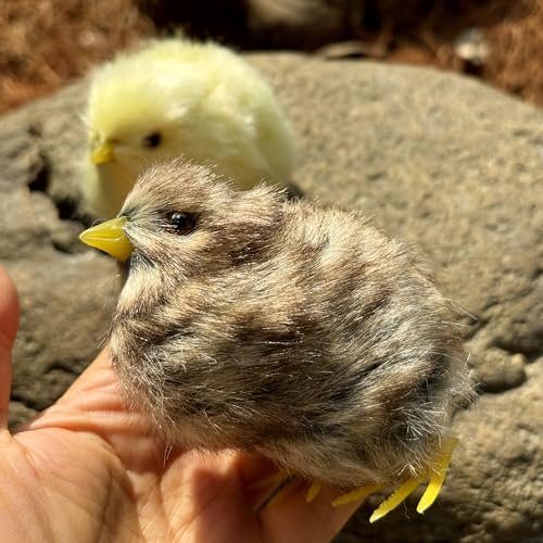 2 x Realistic Fluffy Baby Chickies Decor Set - Lifelike Spring Chickens & Fuzzball Easter Tabletop Decorations, Farmhouse Photo Props, Basket Fillers, Home Ornaments