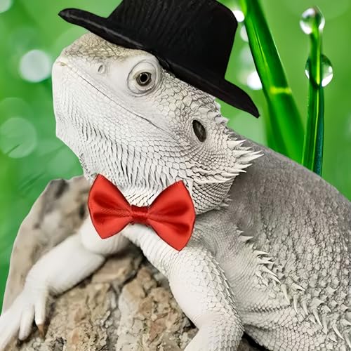 Bearded Dragon Clothes Costume Pet Lizard Outfit Set Small Reptile Business Suit for Photo Props & Daily Wear,Adjustable Hat and Bowtie for Gecko Chameleon Amphibians Ferret Hamster - color: Business Suit-Black
