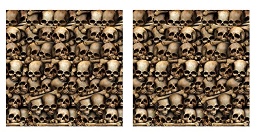 Beistle Catacombs Backdrop Wall Decorations – 2 Realistic Skull and Bone Printed Plastic Wall Coverings, Halloween Haunted House Party Décor Indoor Spooky Scene Background Display, 4 Ft x 30 Ft Each - style: Catacombs - 2 Piece
