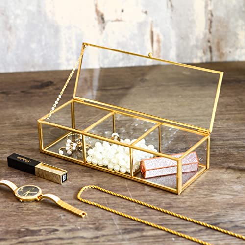 Vintage Golden Glass Lidded Box Clear Glass & Brass Metal Storage Jewelry and Cosmetic Makeup Organizer with Lid Beauty Display, Rectangle with 3 Compartment