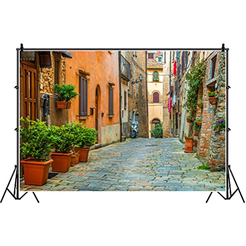 Laeacco 7x5FT Vinyl Backdrop Photography Background Italy Old Town Small Narrow Alley Street Landscape European Building Green Vine Children Adults Travel Theme Backdrop Photo Studio Props - size: 7x5ft