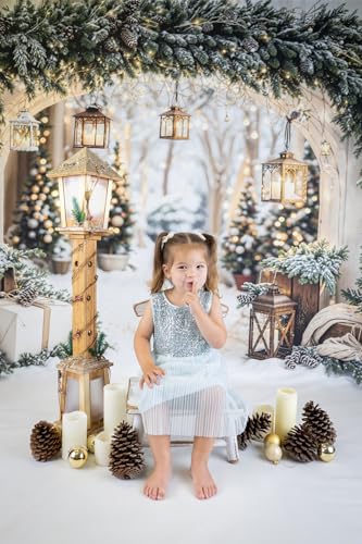 Kate 7x5ft/2.2x1.5m Christmas Backdrop for Photography Arch Snowy Tree Outdoor Photoshoot Background Winter Photo Video Studio Props