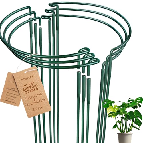 6 Pack Detachable & Assemblable Metal Plant Support Stakes - Garden Support Ring, Tomato Seedling Cage, Young Monstera/Pothos for Growing Indoor/Outdoor (10" W x 16" H) - color: 10"W x 16"H
