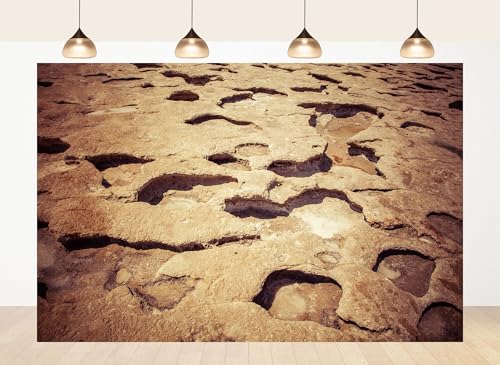 15x10ft Fabric Eroded Rock Texture Backdrop Rustic Coastal Stone Surface Photography Background for Nature Themed Party Decor Home Wall Hanging Tapestry Photo Props - size: 15x10ft