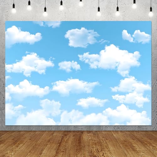 Qian 7x5ft Blue Sky White Clouds Backdrop Natural Scenery Sunshine Sky Clouds Photography Backdrop Wedding Birthday Party Decoration Newborn Baby Shower Backdrop