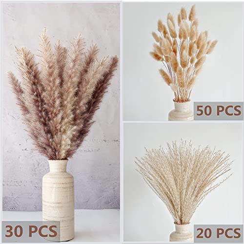 Natural Dried Pampas Grass Decor, Brown Pampas Grass， Bunny Tails Dried Flowers, Reed Grass Bouquet for Wedding Boho Flowers Home Table Decor, Fall Decor，Rustic Farmhouse Party (100 in Total ) - size: 100cps-brown