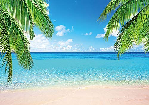 Summer Tropical Beach Photography Backdrops Seaside Island Palm Trees Photo Blue Sky White Clouds Background for Hawaii Pool Party Luau Theme Party Decoration Studio Props Banner 5x3ft - size: 5x3 Ft