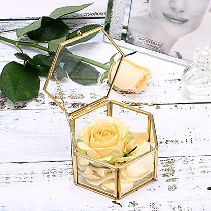 Hipiwe Preserved Flower Glass Box, Hexagon Glass Jewelry Decorative Bin, Ornate Trinket Display Organizer Case Keepsake Box Gift for Women