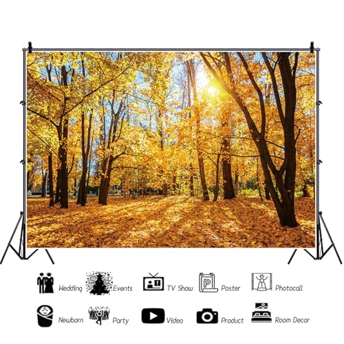 5x3ft Fall Backdrop Autumn Scenery Park Photography Background Tree Yellow Fall Leaves View Nature Landscape Decorations Portraits Supplies Wallpaper Photo Studio Props - color: Black, size: 5x3ft