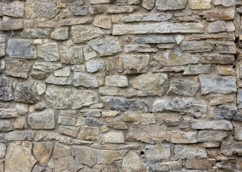 BELECO 20x10ft Fabric Rock Stone Wall Backdrop Vintage Brick Rock Stones, Rustic Wall Texture Background for Themed Party Decorations Home Decor Photoshoot Props - size: 20x10FT