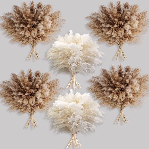 60 PCS Boho Decor, Fluffy Pompas Grass, Natural Dry Pampas Grass Small, Short Pampass Bulk for Boho Room Decor, Coffee Table Decor (17 inch ) - size: 60PCS-Natural and White