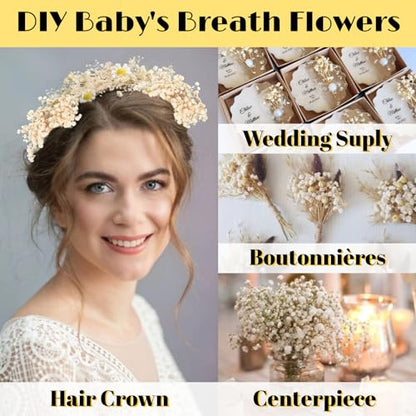 4700+ Mini Dried Babys Breath Flowers, 90+Pcs Ivory White Baby Breath Flower Bulk, Dried Flowers for Crafts, Wedding Decor Boho Invitation, Resin Candle Making, Dry Babies Flowers, Rustic Gypsophila