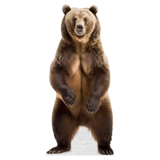 Bear - Life Size Cardboard Cutout Standup People with Support Standee | Animals -1 - color: Bear_1