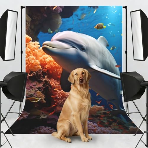 Dolphin On Coral Backdrop Background for Photography 5x7ft Photobooth Professional Photo Backdrop Curtains Video Photography Studio Photo Backgrounds Banner Booth Background Screen Parties - color: Dolphin On Coral